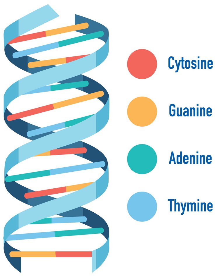 Epigenomic, genomic, and transcriptomic landscape of schwannomatosis