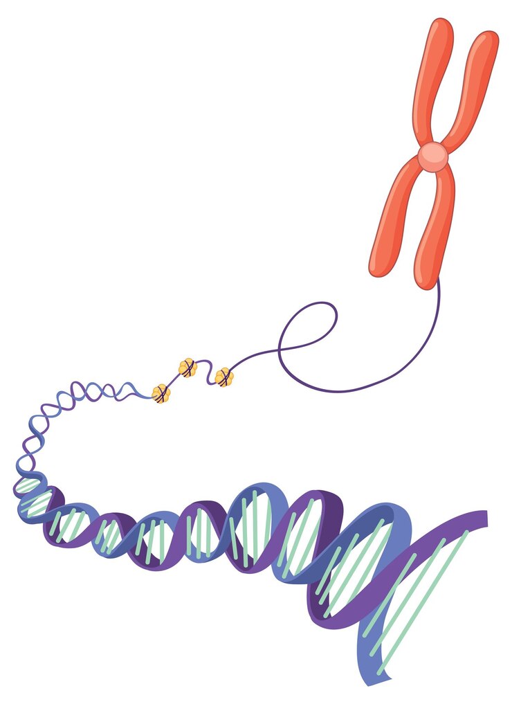 The telomere length landscape of prostate cancer