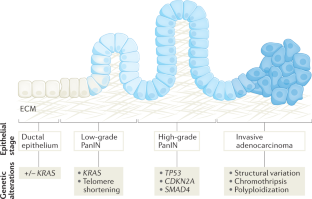 Pancreatic cancer evolution and heterogeneity: integrating omics and clinical data