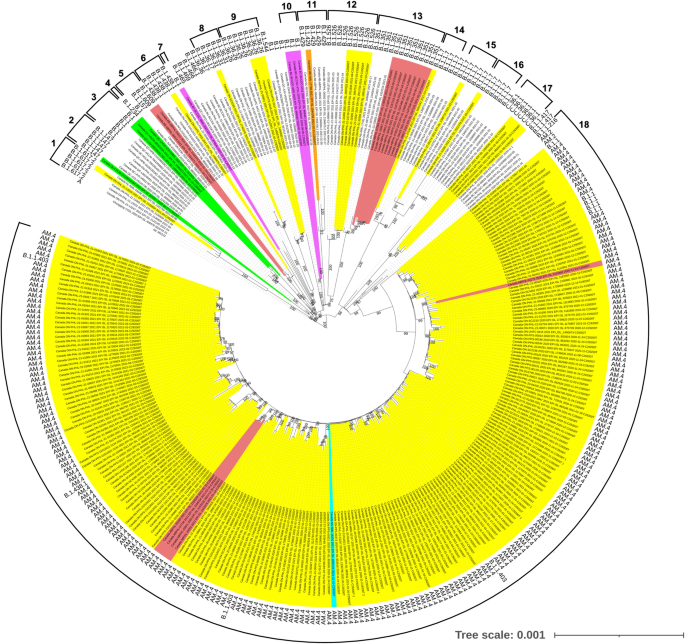 Emergence of a mutation in the nucleocapsid gene of SARS-CoV-2 interferes with PCR detection in Canada