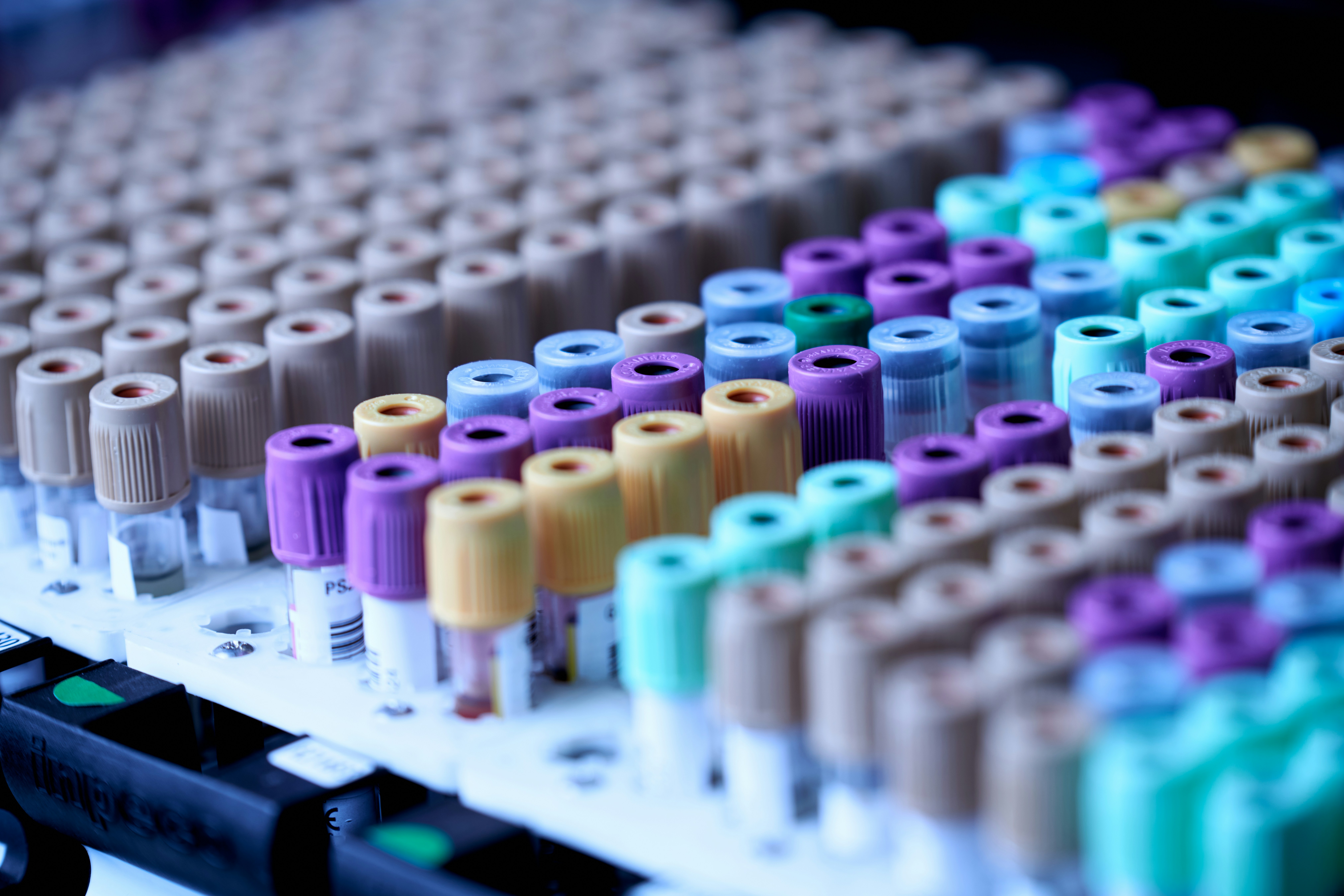 A polygenic two-hit hypothesis for prostate cancer